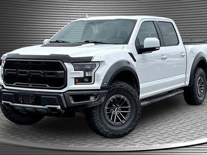 Used 2019 Ford F150 Raptor w/ Equipment Group 802A Luxury