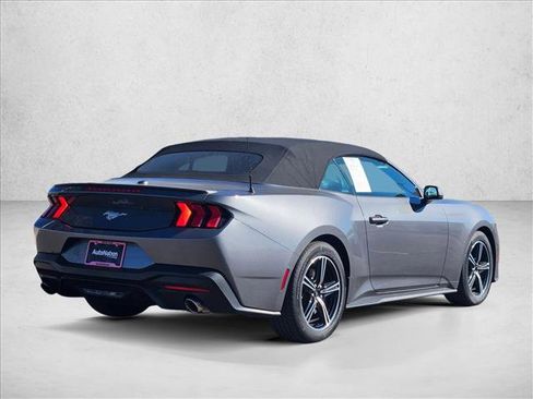 Used 2025 Ford Mustang Premium image 5