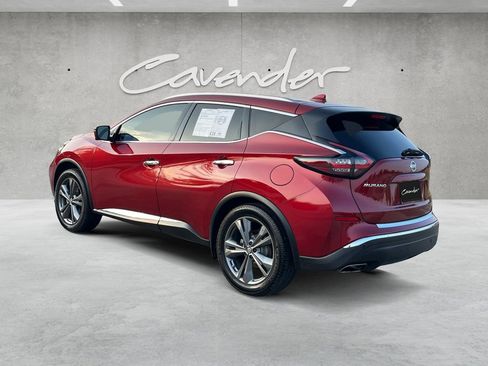 Used 2019 Nissan Murano Platinum w/ Cargo Package image 14