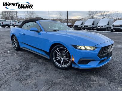 Used 2024 Ford Mustang Premium w/ Wheel & Stripe Package