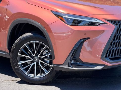 Used 2025 Lexus NX 350h AWD w/ Cold Area Package image 5