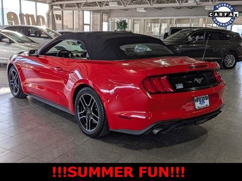 Used 2018 Ford Mustang Premium image 8