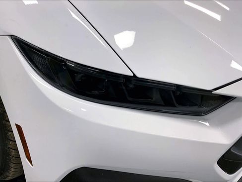 New 2026 Ford Mustang EcoBoost Fastback w/ Mustang Nite Pony Package image 14