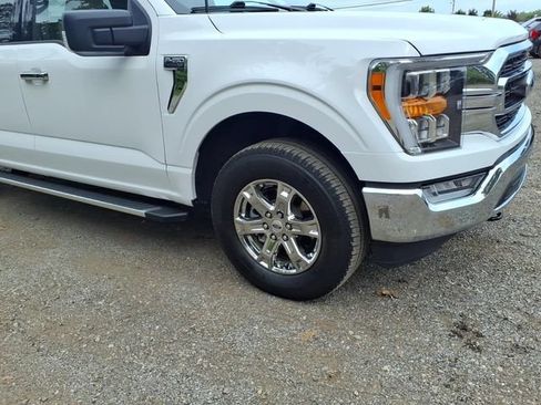 Used 2023 Ford F150 XLT w/ Equipment Group 302A High AWD/4WD image 4