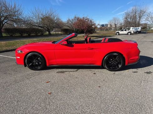 Certified 2019 Ford Mustang Premium w/ Equipment Group 201A image 17