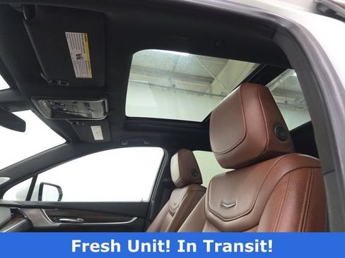 Used 2022 Cadillac XT5 Premium Luxury AWD/4WD image 8
