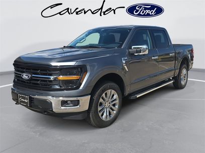 New 2025 Ford F150 XLT w/ Equipment Group 302A MID