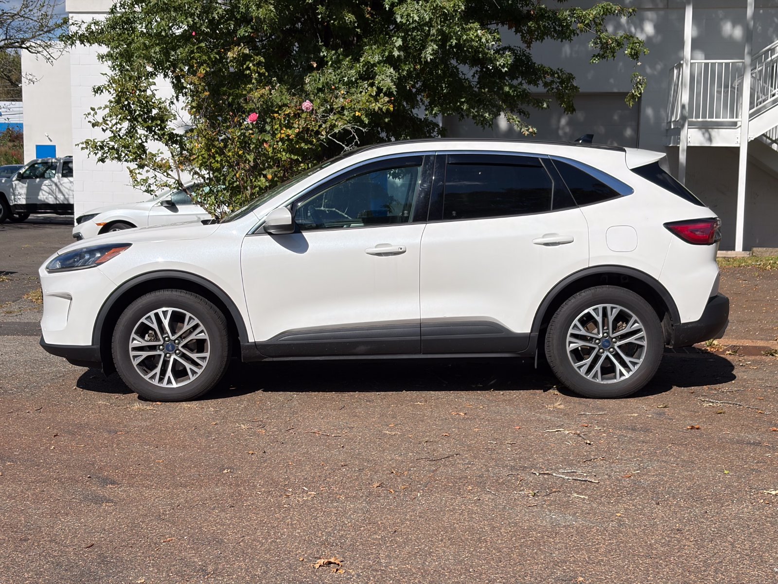 Used 2020 Ford Escape SEL AWD/4WD image 2