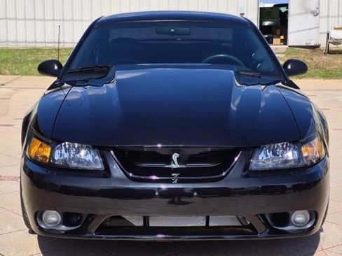 Used 2001 Ford Mustang Cobra RWD image 2
