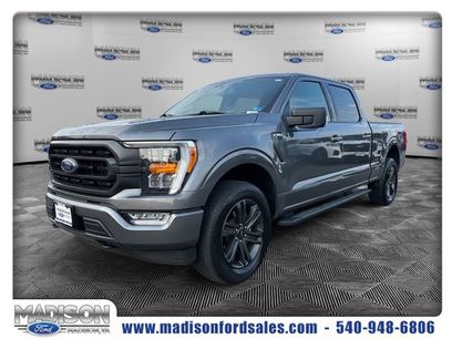 Used 2023 Ford F150 XLT w/ Equipment Group 302A High