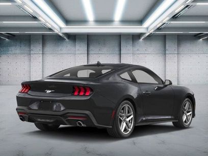New 2026 Ford Mustang Coupe w/ Mustang Nite Pony Package