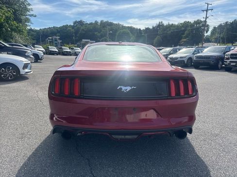 Used 2015 Ford Mustang Premium w/ Equipment Group 201A RWD image 5