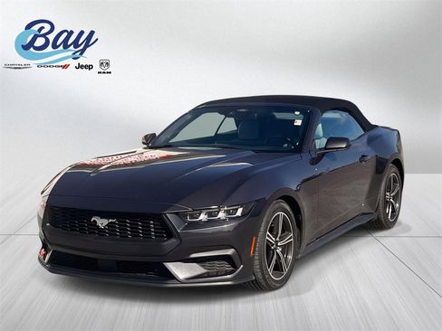Used 2024 Ford Mustang Premium image 1