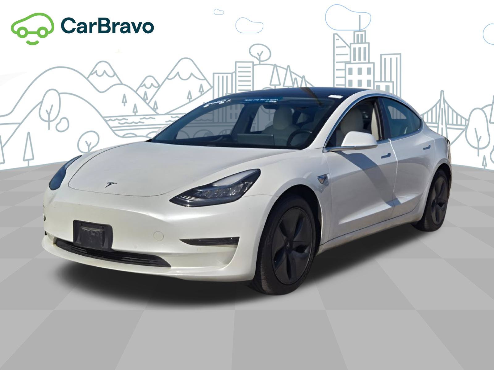 Used 2020 Tesla Model 3 Long Range AWD/4WD image 1