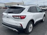 Used 2020 Ford Escape SE image 5