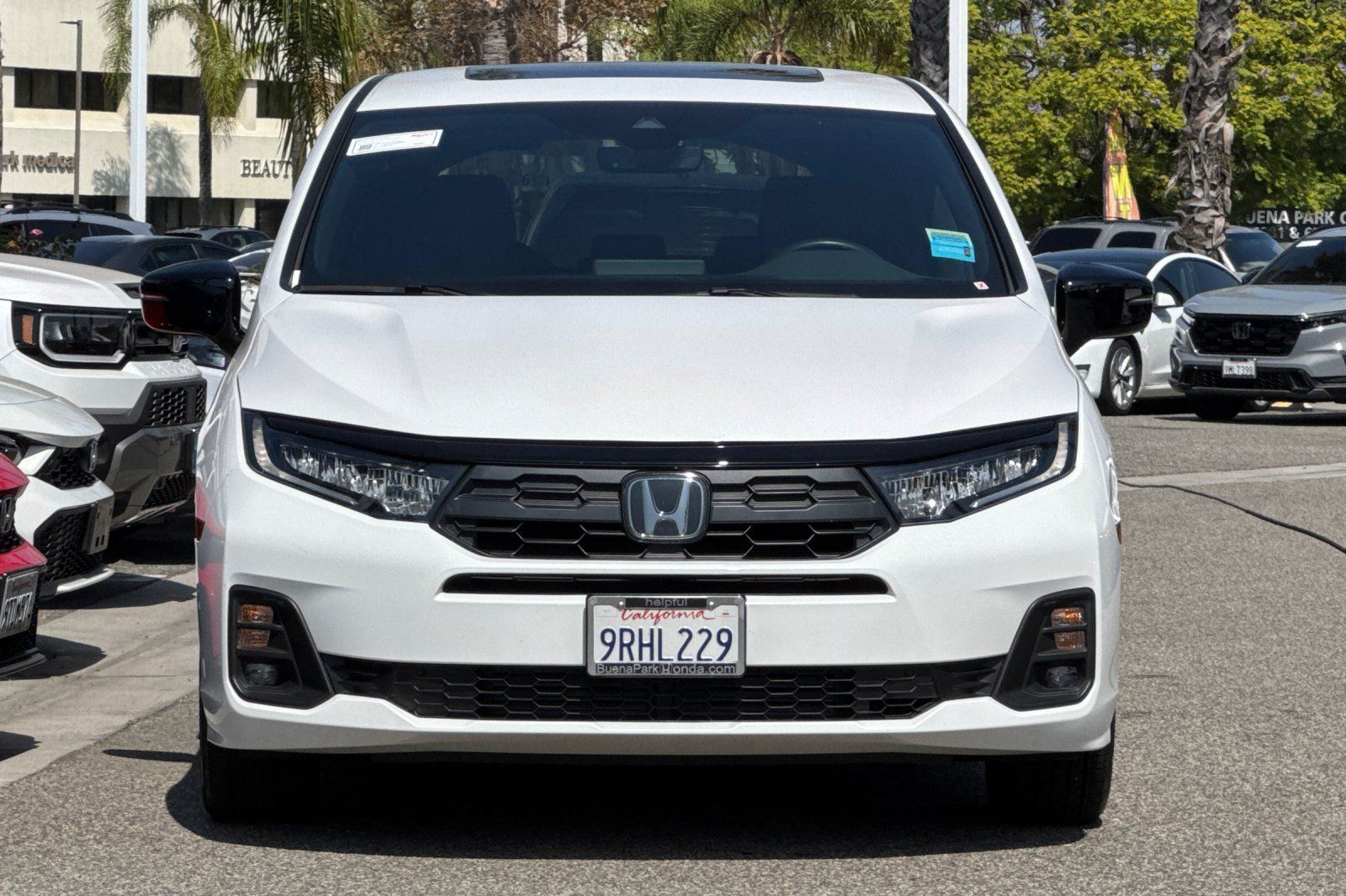 Used 2025 Honda Odyssey Sport-L image 5