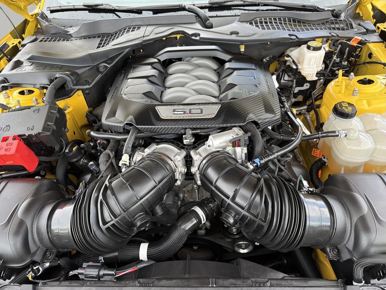 Used 2024 Ford Mustang GT RWD image 10