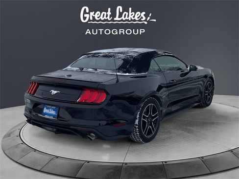 Used 2018 Ford Mustang Premium w/ Equipment Group 201A image 5