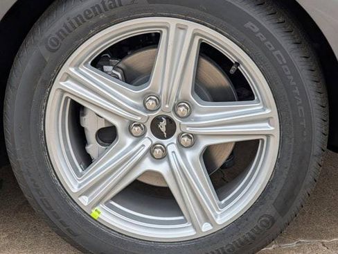 New 2026 Ford Mustang Ecoboost image 9