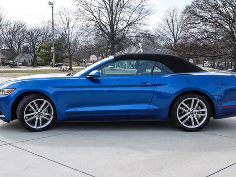 Used 2017 Ford Mustang Premium w/ Equipment Group 201A image 4