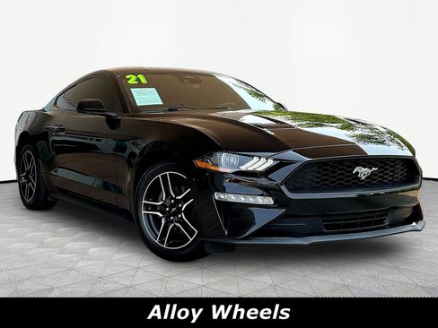 Used 2021 Ford Mustang Coupe w/ Equipment Group 101A RWD image 3