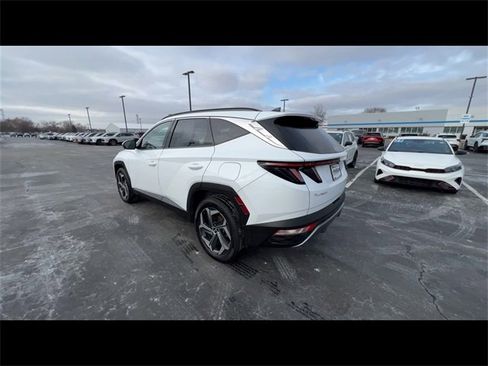 Used 2022 Hyundai Tucson Limited image 6