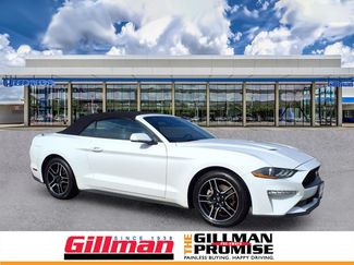 Used 2023 Ford Mustang Premium RWD video 1