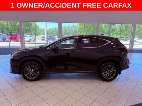 Used 2024 Lexus NX 350 AWD image 4