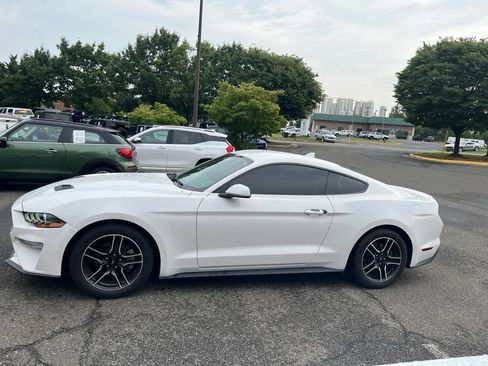 Used 2021 Ford Mustang Premium RWD image 4