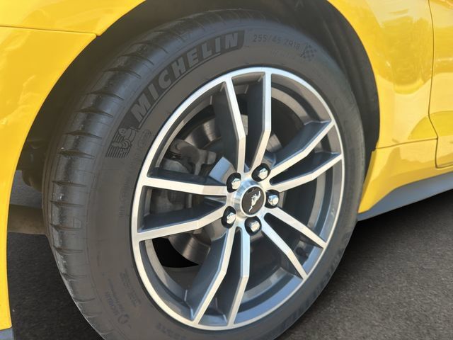 Used 2015 Ford Mustang GT Premium RWD image 21