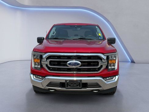 Used 2021 Ford F150 XLT w/ Equipment Group 302A High AWD/4WD image 8