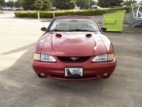 Used 1998 Ford Mustang Cobra image 18