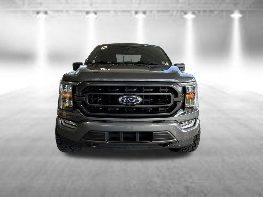 Used 2023 Ford F150 XLT w/ Equipment Group 302A High AWD/4WD image 10