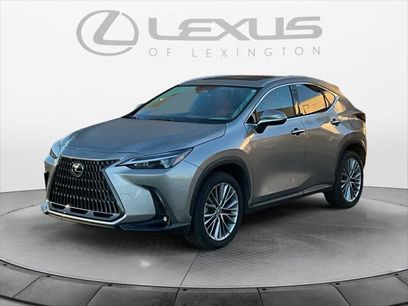Certified 2025 Lexus NX 350h AWD w/ Cold Area Package
