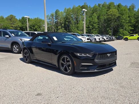 Used 2024 Ford Mustang Premium RWD image 2