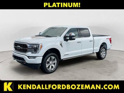 Used 2023 Ford F150 Platinum w/ Equipment Group 701A High
