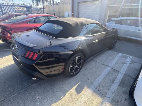 Used 2025 Ford Mustang Premium RWD image 4