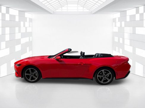 Used 2025 Ford Mustang Premium RWD image 4