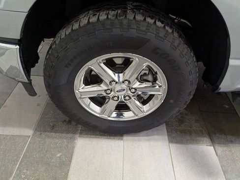 Used 2025 Ford F150 XLT w/ Equipment Group 301A Standard image 8