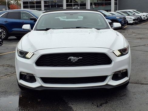 Used 2017 Ford Mustang Premium image 22