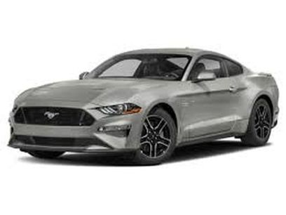 Used 2019 Ford Mustang Premium w/ Equipment Group 201A