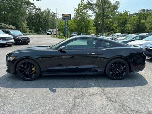 Used 2016 Ford Mustang Premium w/ Equipment Group 201A RWD image 5