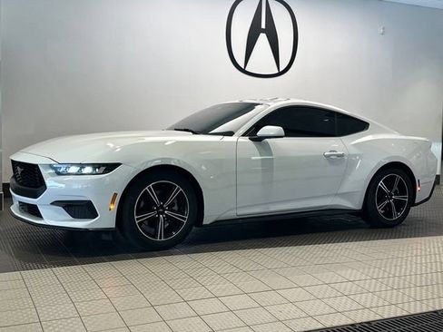Used 2024 Ford Mustang Premium RWD image 3