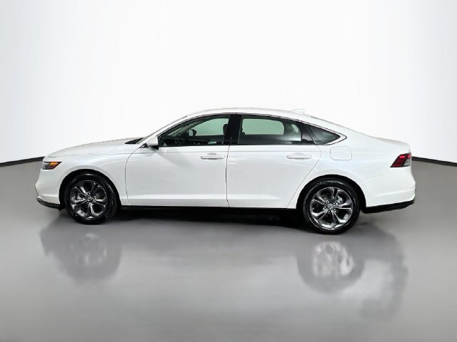 Certified 2023 Honda Accord EX-L image 6
