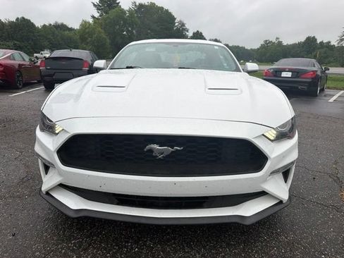 Used 2019 Ford Mustang Coupe w/ Equipment Group 101A RWD image 2