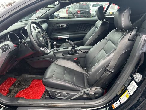 Used 2017 Ford Mustang GT Premium w/ Equipment Group 401A image 5