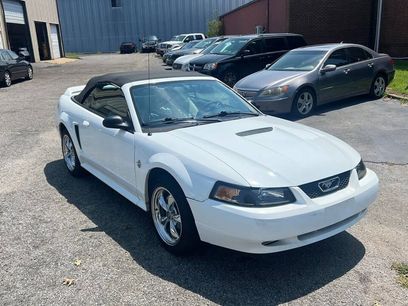 Used 1999 Ford Mustang Convertible