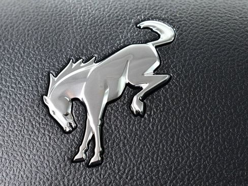 New 2025 Ford Bronco Sport Big Bend w/ Convenience Package image 34