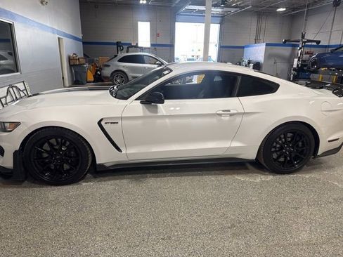 Used 2019 Ford Mustang Shelby GT350 w/ Technology Package image 2