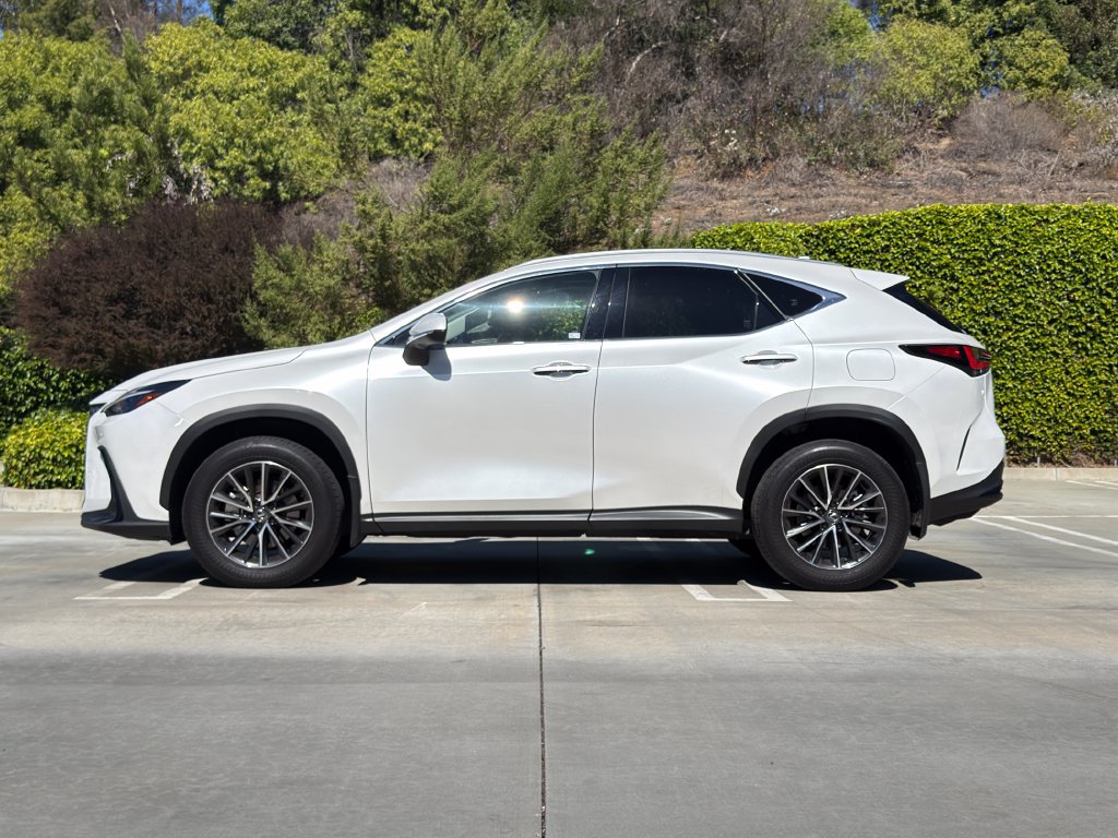 Certified 2025 Lexus NX 350 AWD w/ Cold Area Package image 6